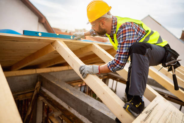 Best Roof Gutter Cleaning  in Eldridge, IA