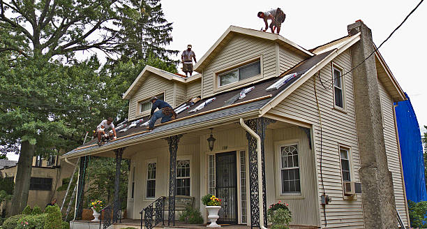 Best Metal Roofing Contractor  in Eldridge, IA