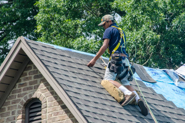 Best New Roof Installation  in Eldridge, IA
